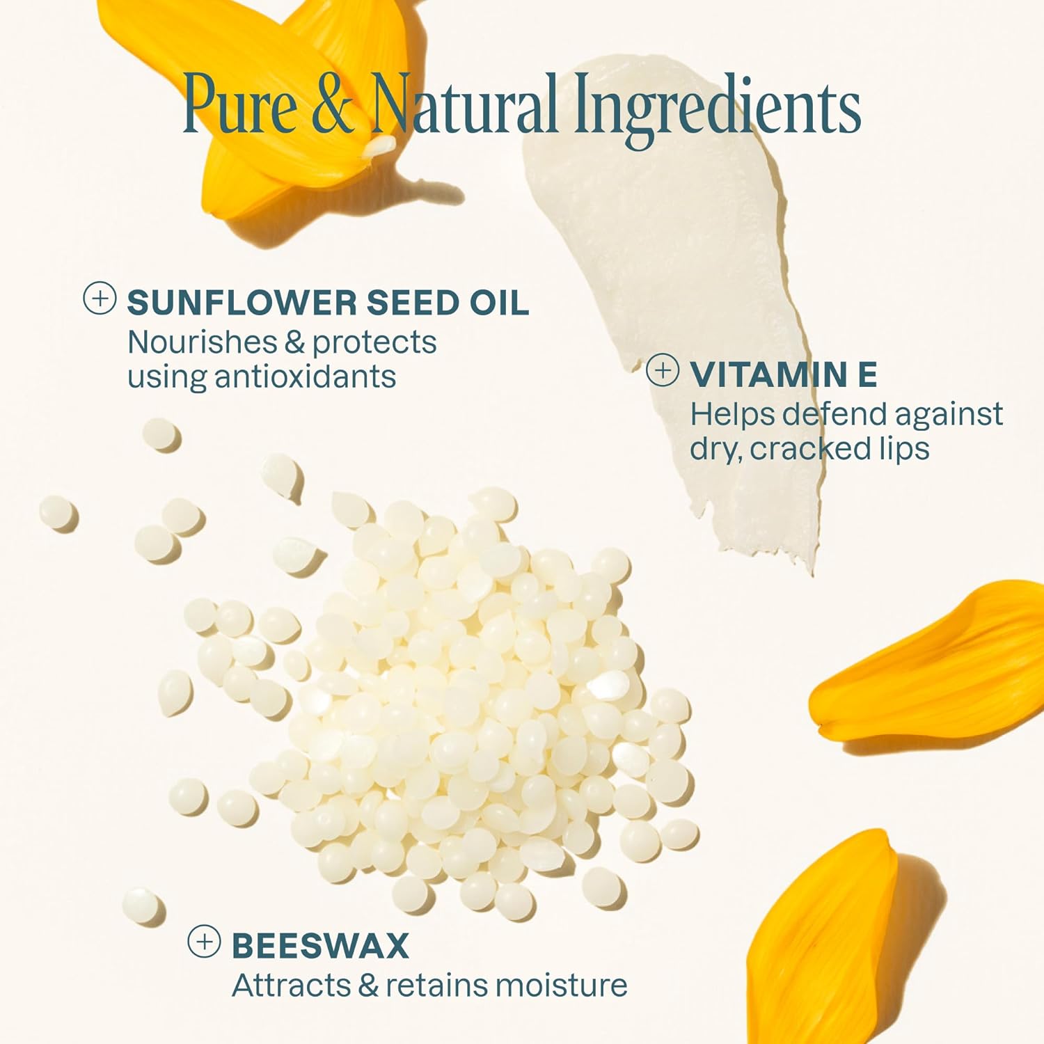 Organic Lip Balm Pack