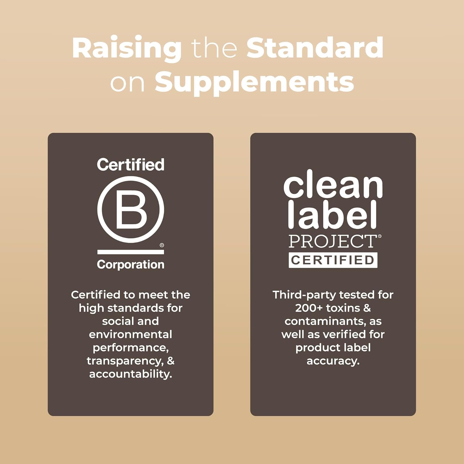 FocusFuel Lion's Mane Tincture